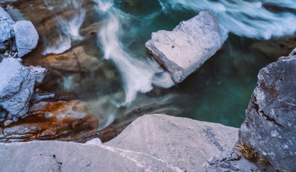 web_mauro-zamarian-1497370-unsplash