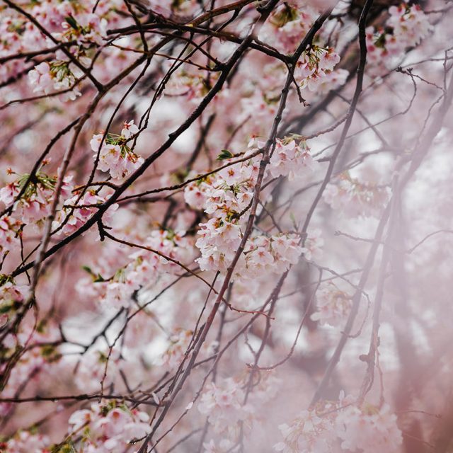banter-snaps-gAkp4si1LrE-unsplash
