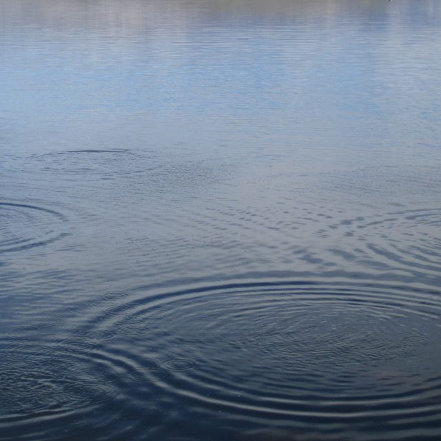 caroline-grondin-w7wA3YQgxUQ-unsplash caroline-grondin-w7wA3YQgxUQ-unsplash