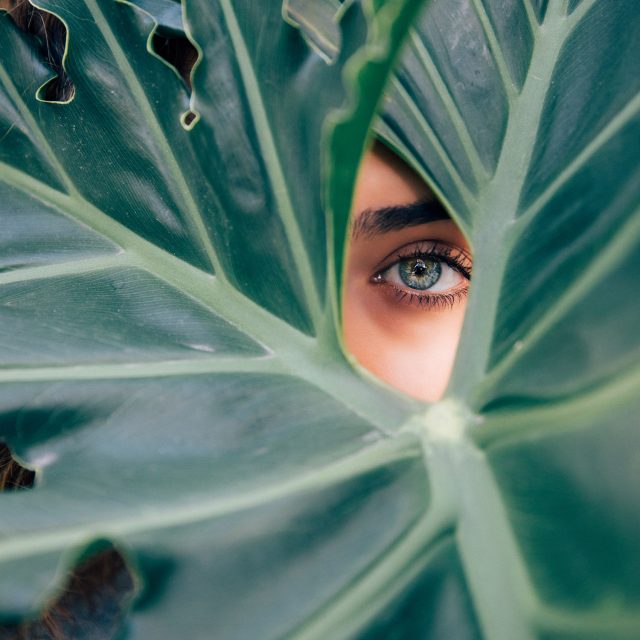 drew-graham-cTKGZJTMJQU-unsplash