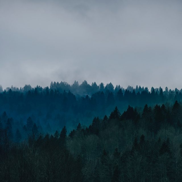 filip-zrnzevic-Ceuh97A6OYM-unsplash